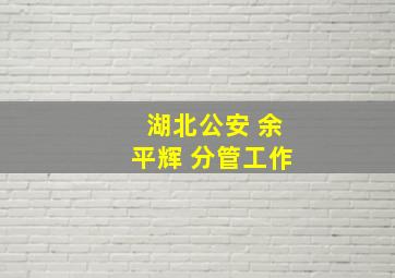 湖北公安 余平辉 分管工作